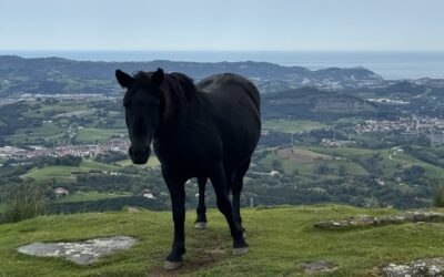 RODEANDO ADARRAMENDI