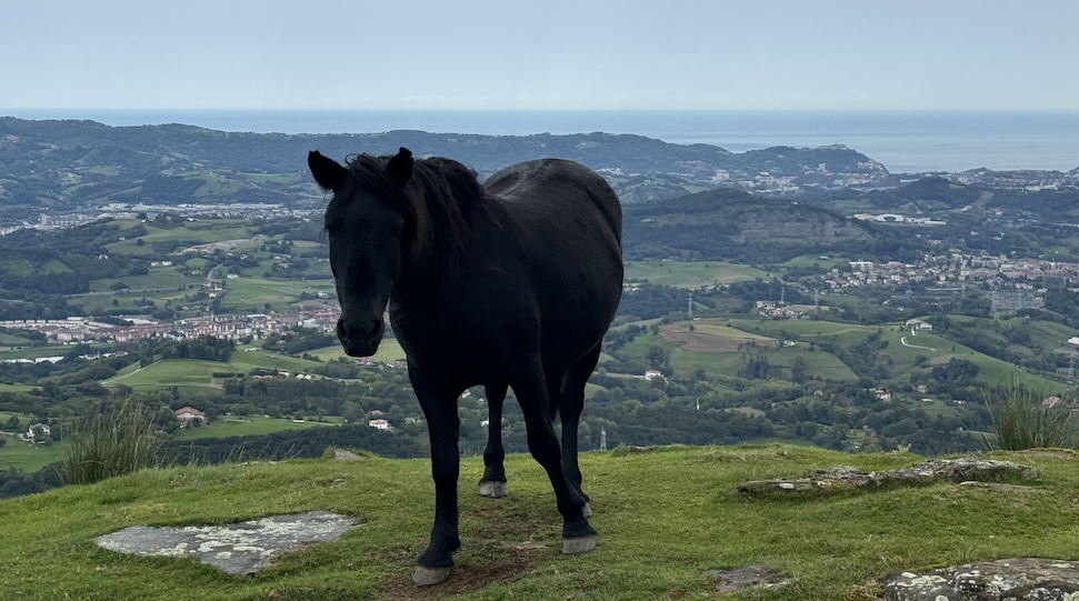 Rodeando Adarramendi