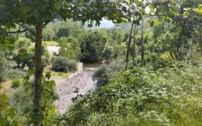 CAMINO DE LA HERRADURA