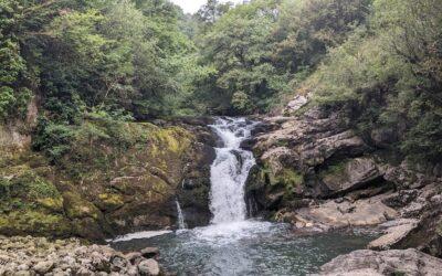 NACEDEROS DE IRIBAS