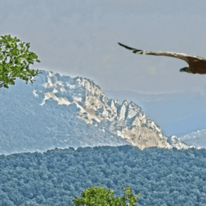 Descubriendo Navarra con San Fermín habitación doble