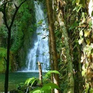 Cascadas de Aguake y del Molino de Oteo sin transporte