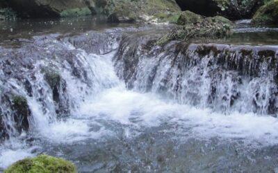 DESFILADERO DEL RIO PURÓN