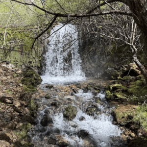 Nacedero del Zirauntza con transporte