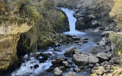 NACEDEROS DEL RIO LARRAUN EN IRIBAS